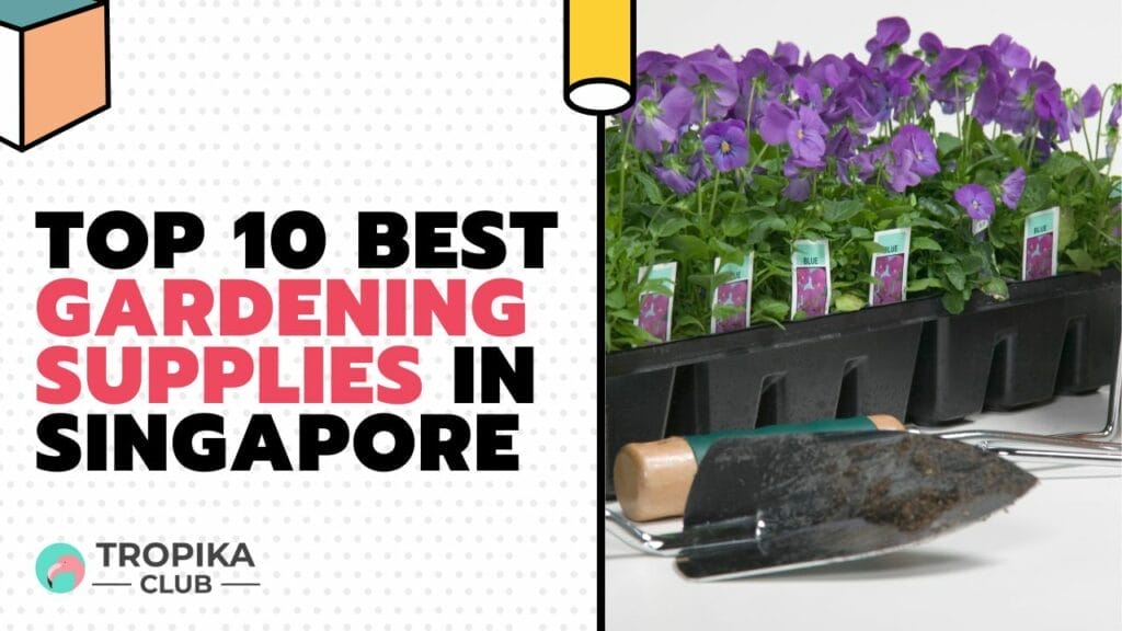 Best Gardening Supplies in Singapore