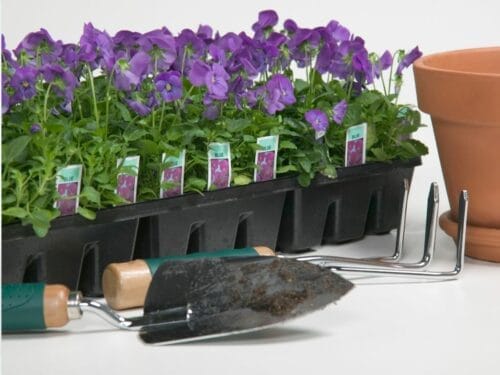 Best Gardening Supplies in Singapore