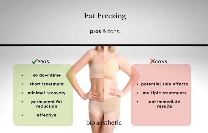 Factors Influencing Fat Freezing Costs