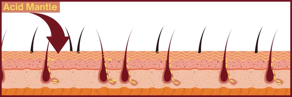 Role of Acid Mantle