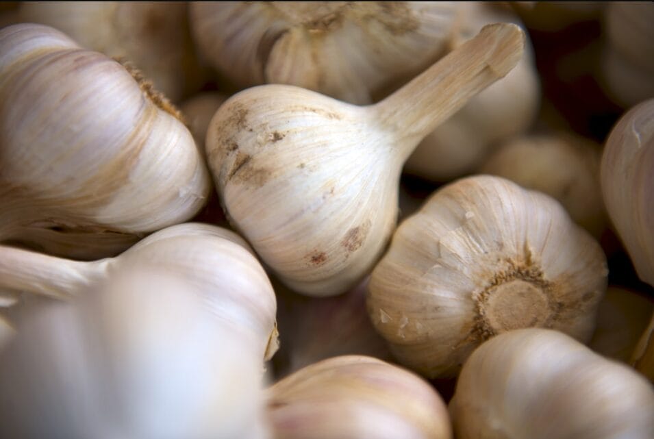 Garlic and Natural Remedies