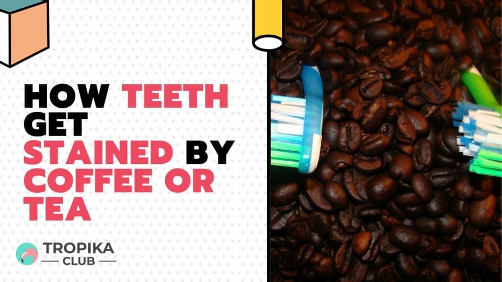 How Teeth Get Stained by Coffee or Tea